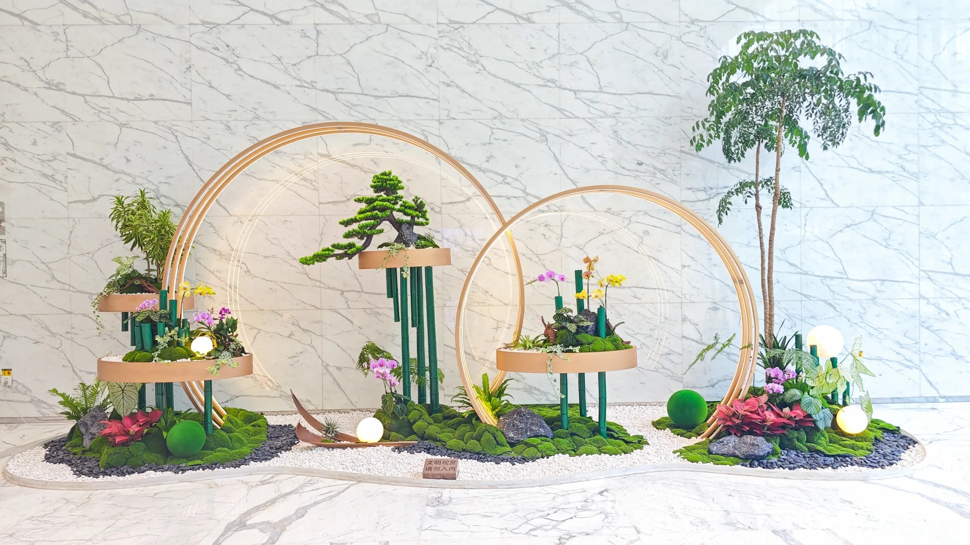 专业北仑植物租摆公司,打造绿色办公环境