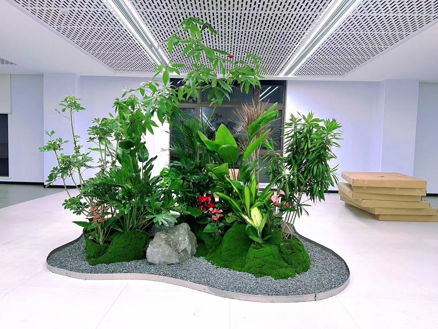 专业北仑植物租摆公司,打造绿色办公环境